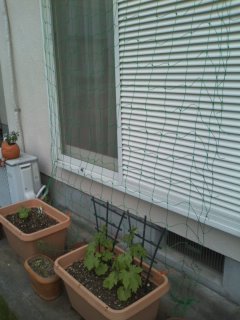 090523_1730~02.jpg