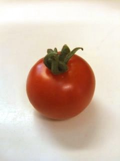 97971.jpg