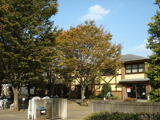 DSC00582s.JPG