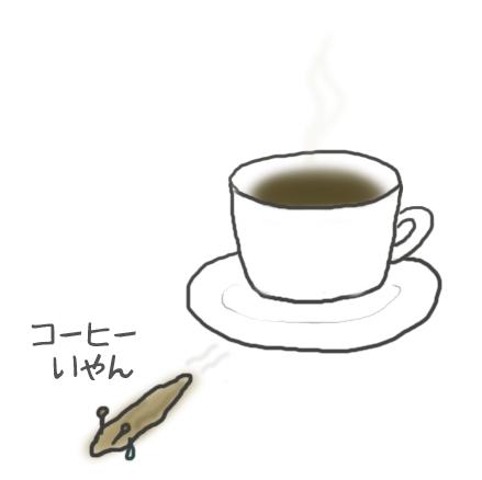 namekuji.jpg